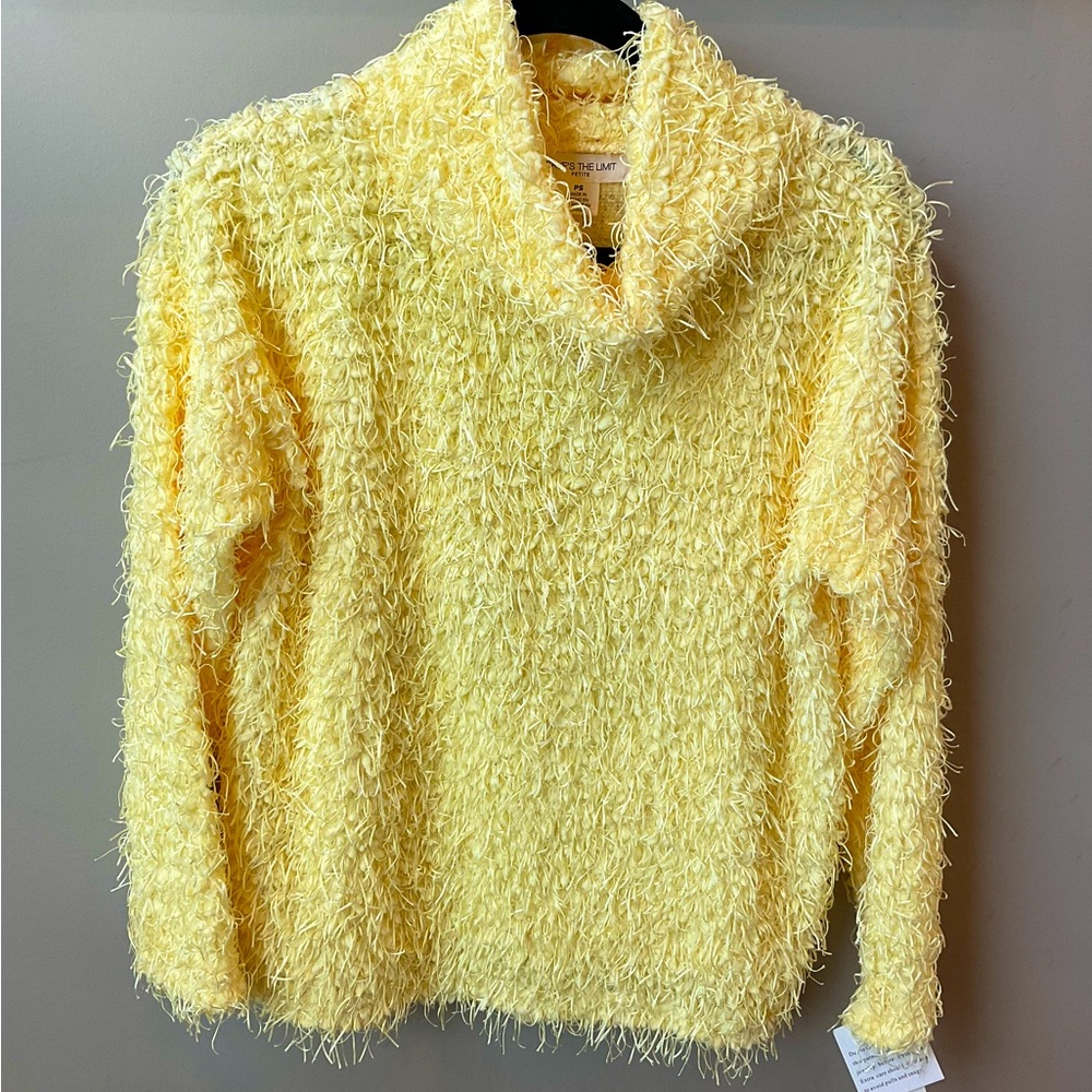 💖HOST PICK💖NWT - Skye’s The Limit Crewneck Sweater - Picture 8 of 8